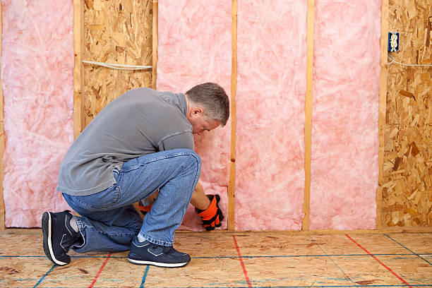 Best Commercial Insulation in Herndon, VA